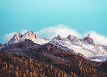 苏翊鸣，闭幕式旗手！